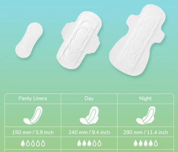 Day & Night Pads + Liners Bundle
