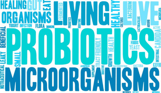 5 Surprising Benefits of Probiotics - Tampon Tribe
