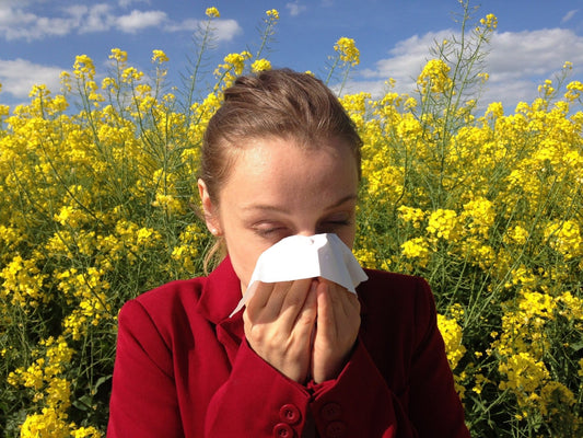 How To Survive Seasonal Allergies
