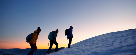 The Winter Survival Guide No One Talks About