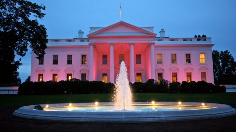 D.C. GOES TAX FREE - Tampon Tribe