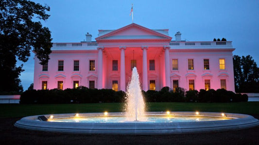 D.C. GOES TAX FREE - Tampon Tribe