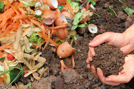 How to Compost at Home - Tampon Tribe