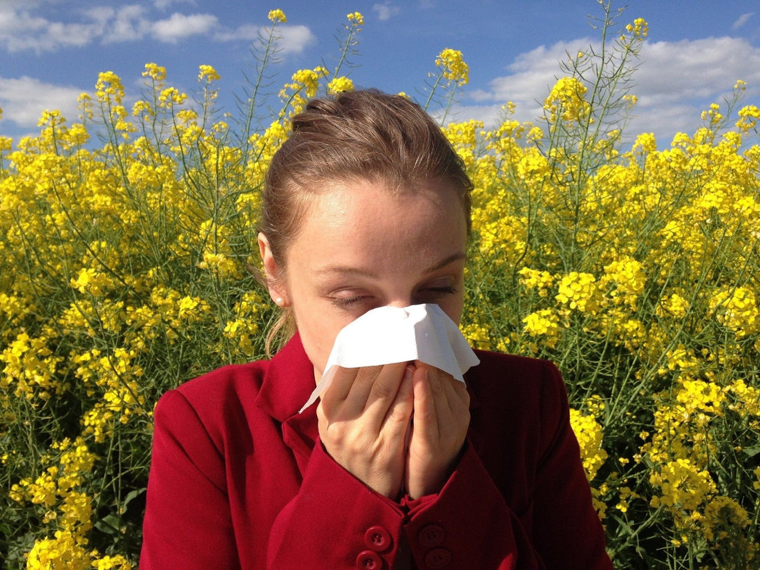 How To Survive Seasonal Allergies - Tampon Tribe