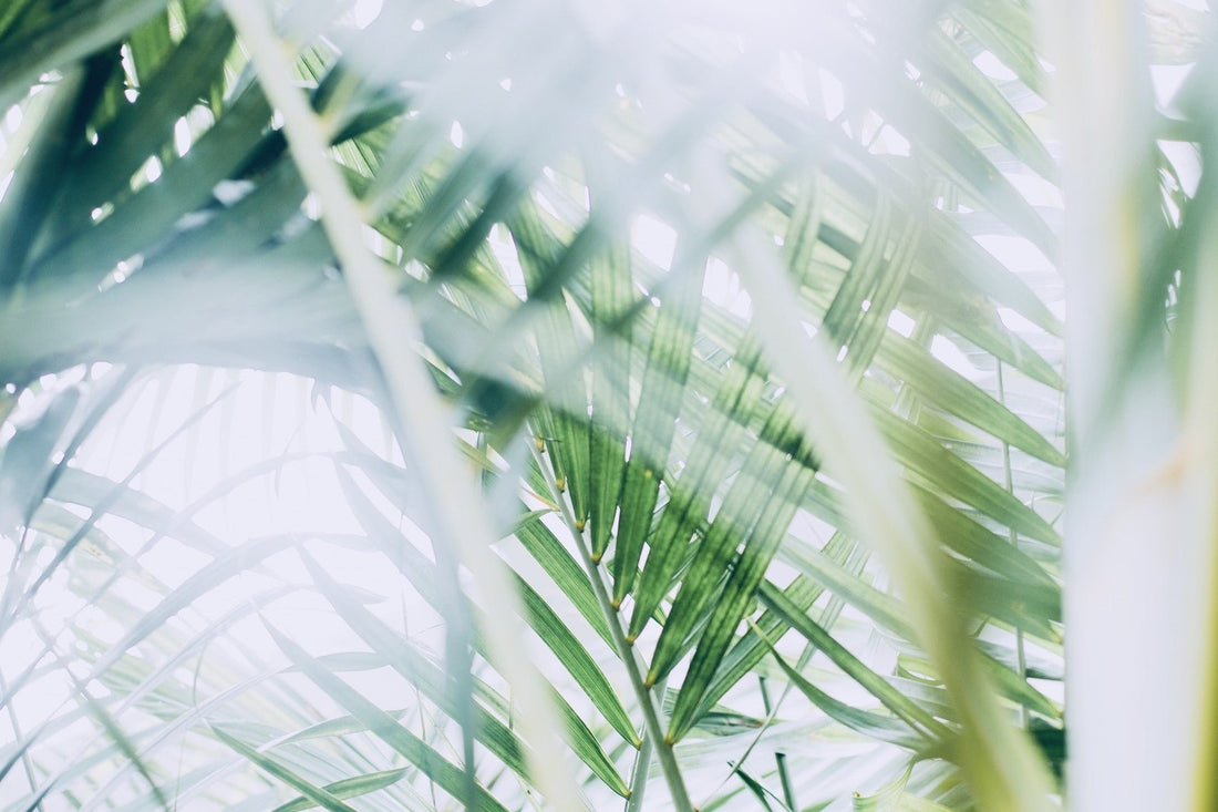 Light Therapy - A Bright Idea - Tampon Tribe