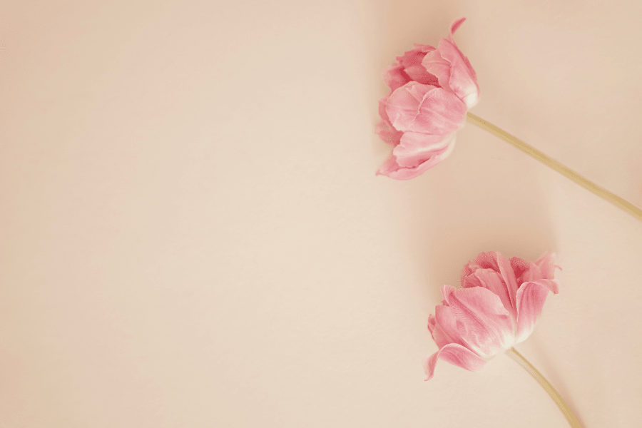 The Minimalist Girl’s Guide to Period Self-Care - Tampon Tribe