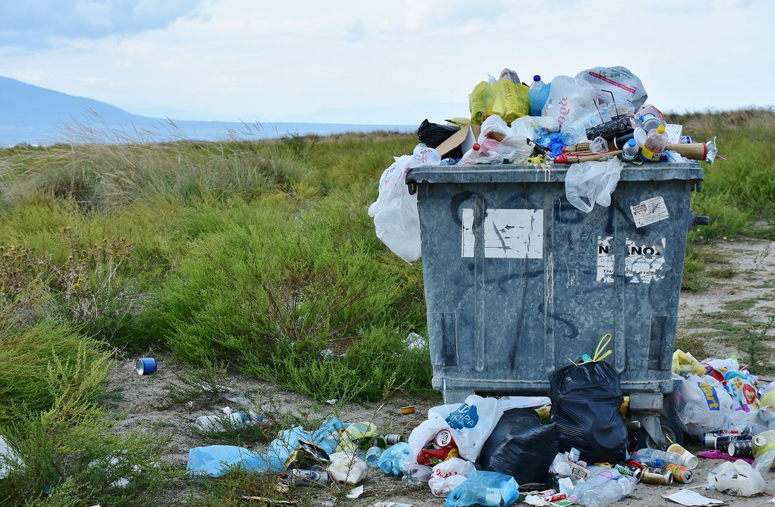 What Are Zero Waste Tampons? - Tampon Tribe