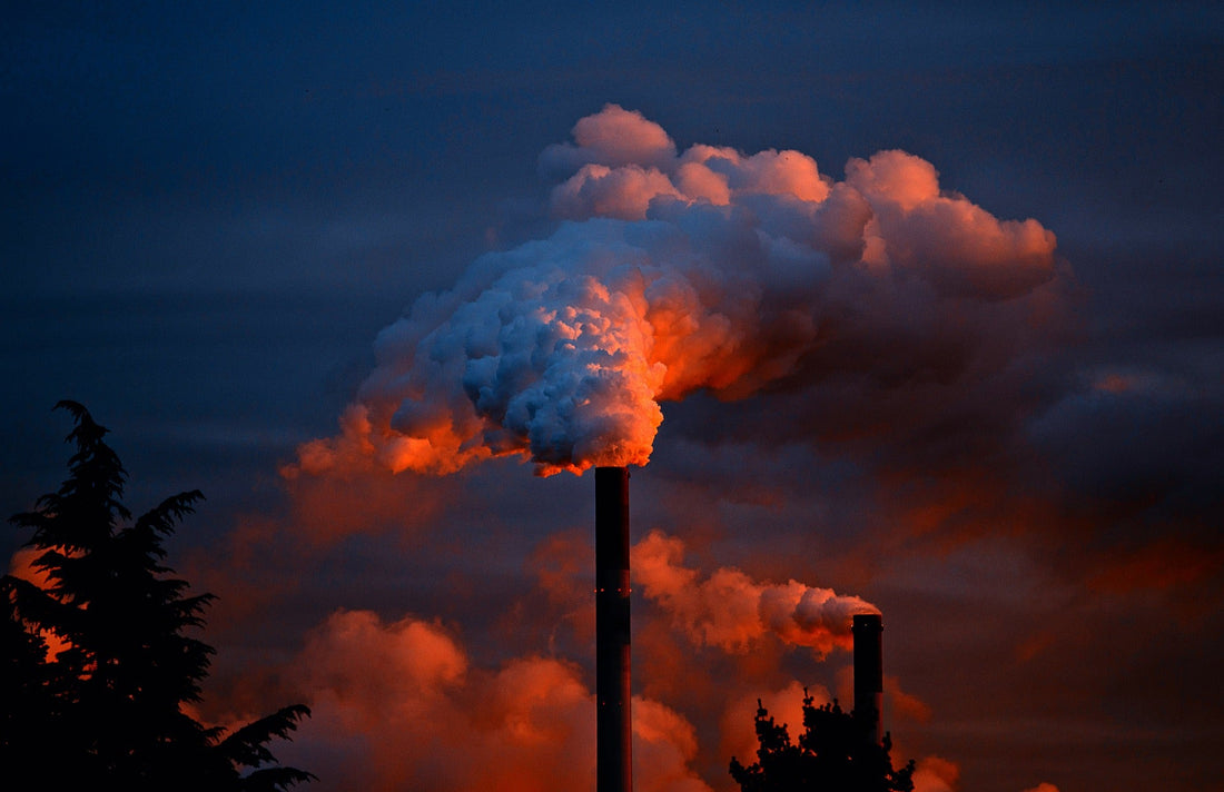 What is the Environmental Impact of Tampons? - Tampon Tribe