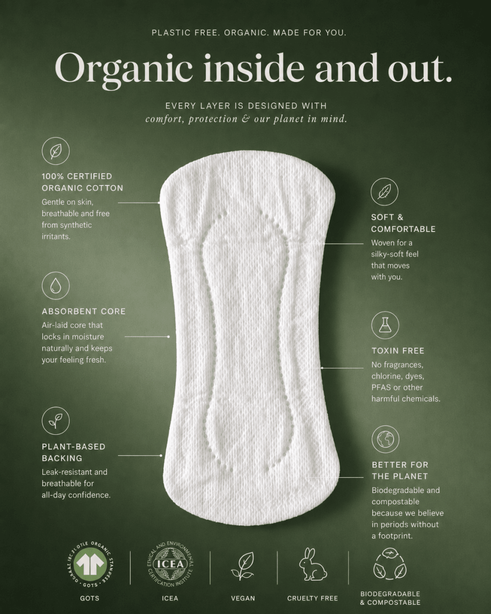 Organic Pantyliners - Tampon Tribe - 24 Individually Wrapped Pantyliners