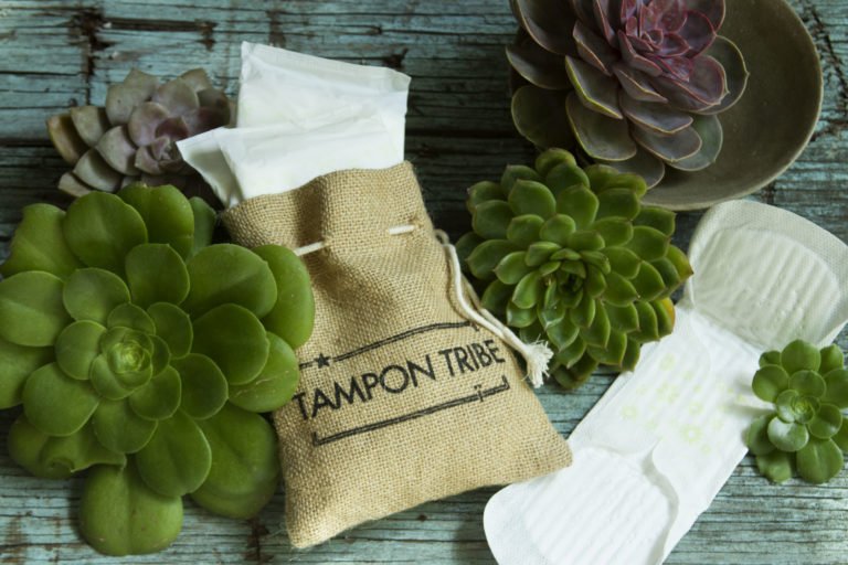 Organic Pads - Tampon Tribe - Hilton Product - Day Pads with Wings (10 Pads)