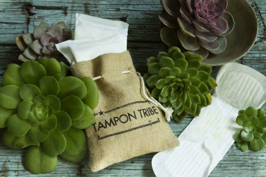 Organic Pads - Tampon Tribe - Hilton Product - Day Pads with Wings (10 Pads)